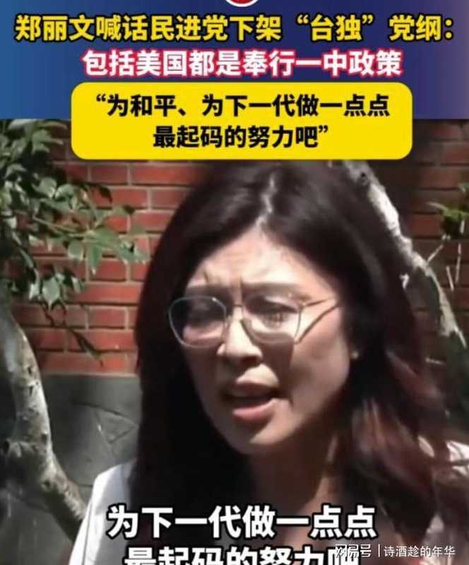  政治女性的伴侣模式：从郑丽文案例解剖“去家务化”婚姻结构的稳定性逻辑 新闻