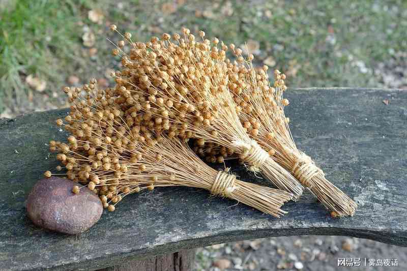 婚前房产博弈：三个致命问题拆解产权陷阱的底层逻辑 情感心理