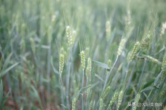  【农谚解码】谷雨晴天为何预示旱灾？基于气候学的技术推导与验证 文化旅游