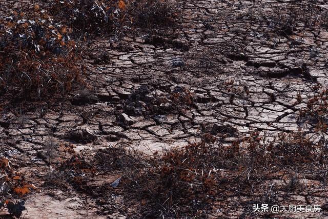  【农谚解码】谷雨晴天为何预示旱灾？基于气候学的技术推导与验证 文化旅游