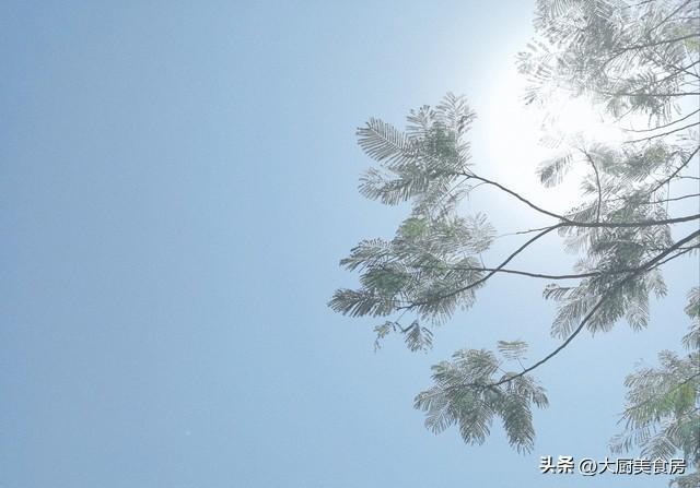  【农谚解码】谷雨晴天为何预示旱灾？基于气候学的技术推导与验证 文化旅游