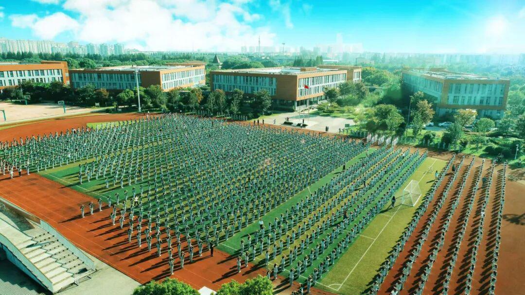  深度解码「无体育不青浦」：制度设计与执行路径的系统性分析 教育招生