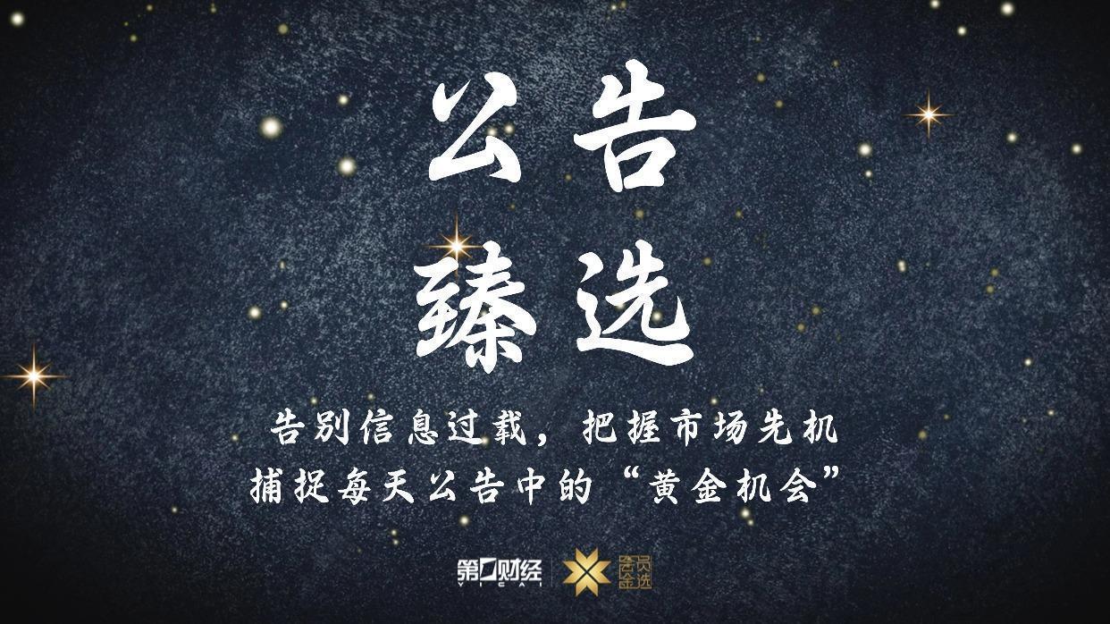  【深度复盘】A股一季报数据背后的技术逻辑与投资方法论 股票财经