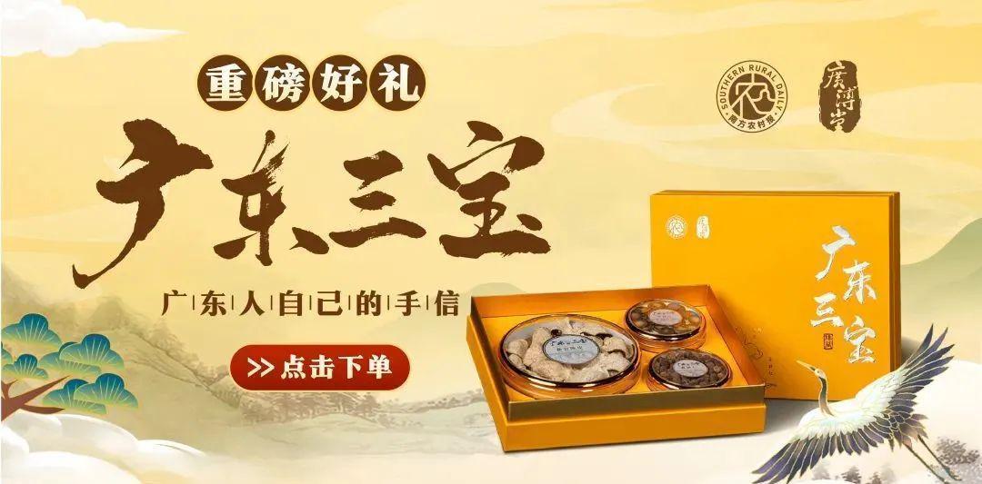  深度拆解：DBN9004获欧盟通行证背后的技术壁垒与商业图谱 新闻