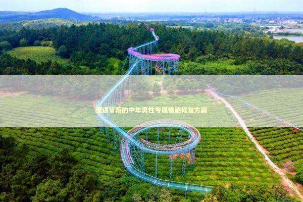 遭遇背叛的中年男性专属情感修复方案