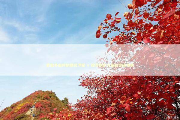 家庭外出时的隐忧浮现 + 综合防护方案的突破领悟