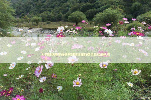 为何职场精英总是对网络连接的稳定性如此执着 IT技术