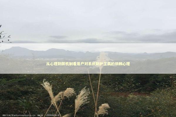从心理防御机制看用户对系统防护工具的依赖心理 从心理防御机制看用户对系统防护工具的依赖心理 IT技术