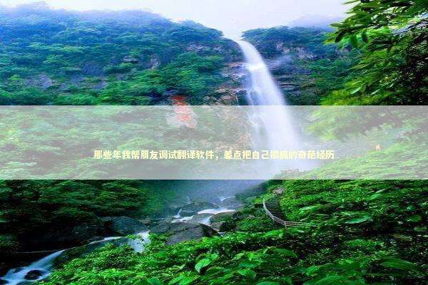 那些年我帮朋友调试翻译软件，差点把自己搞疯的奇葩经历