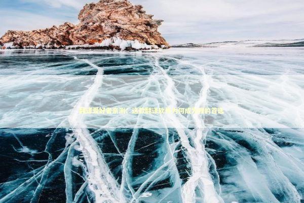 翻译爱好者亲测：这款翻译软件为何成为我的首选