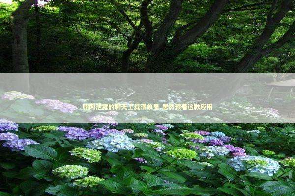 暗网泄露的聊天工具清单里 居然藏着这款应用 IT技术