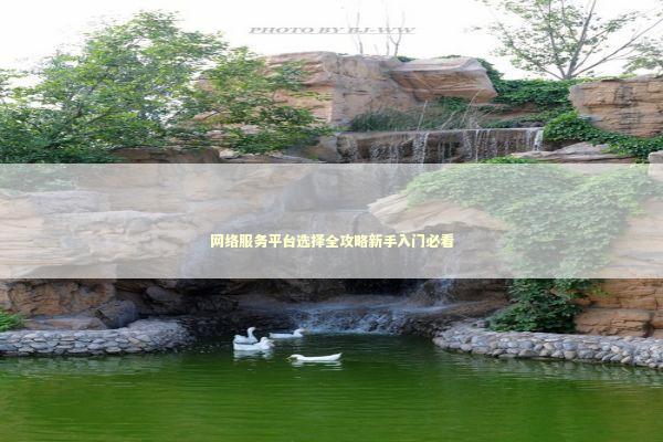 网络服务平台选择全攻略新手入门必看 IT技术