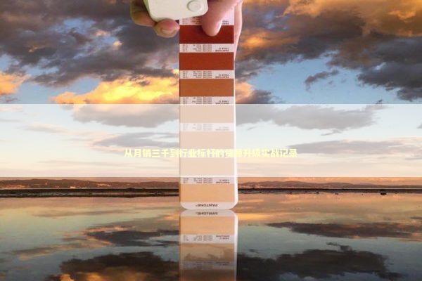 从月销三千到行业标杆的货源升级实战记录